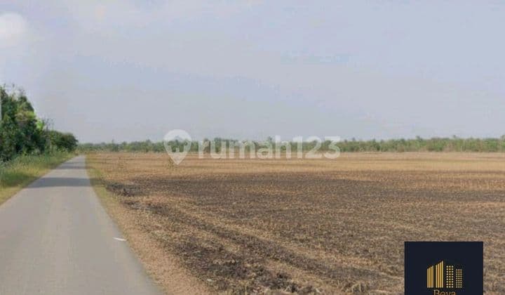 Di Jual Tanah SHM Sekayu Pendopo Soak Baru Depan Jalan Raya