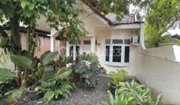 Hidden Gem Beji! Hunian Tropis dengan Taman Melimpah