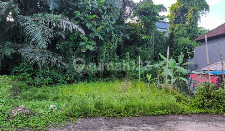 Di Jual Tanah Murah Di Pusat Kota Kediri Tabanan Bali