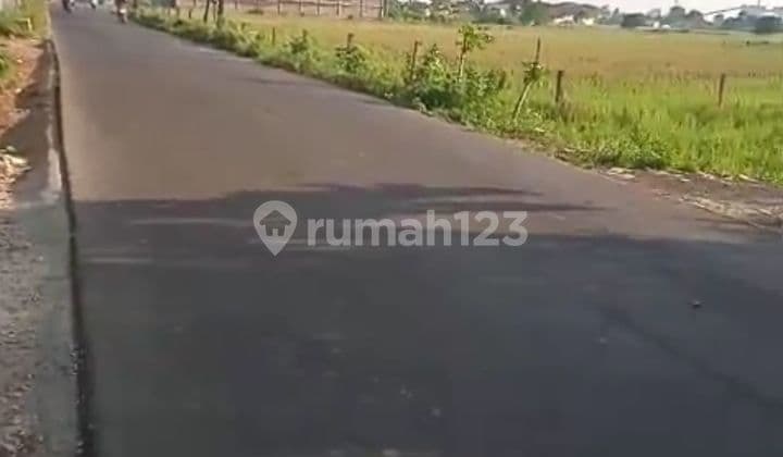 Jual Lahan Di Sukawangi Sukatenang Bekasi