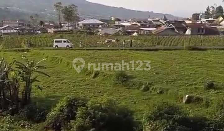 Tanah View Cantik di Dieng Wonosobo