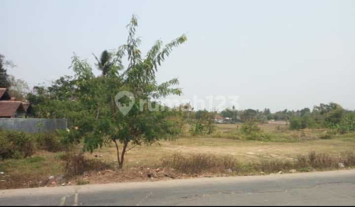 Dijual Cepat Tanah Di Balaraja Tangerang.