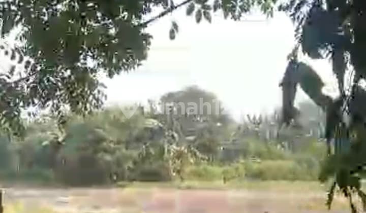 Dijual Tanah Harga di Bawah NJOP di Tambun Bekasi Letak Strategis Hadap Jalan Besar