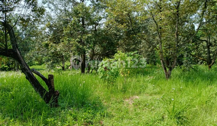 Strategic Industrial Land for Sale in Tigaraksa, Tangerang