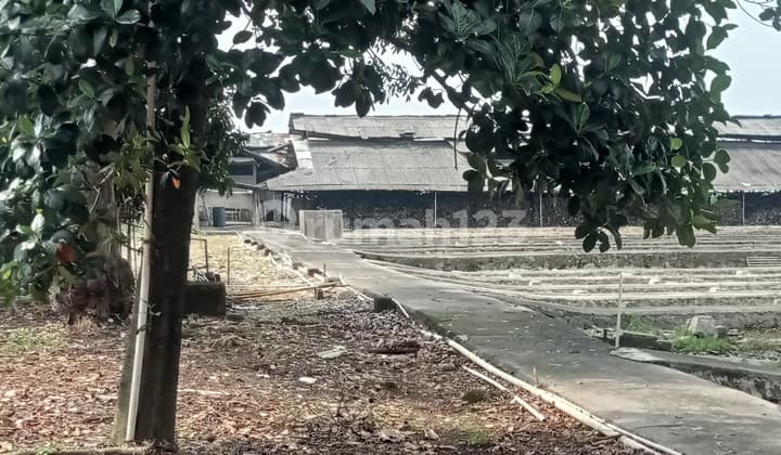 For Sale: Industrial Land with Warehouse Bonus on Jalan Raya Serpong - Parung