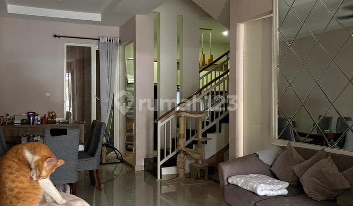 DISEWAKAN Rumah Alam Hijau Terawat, Citraland