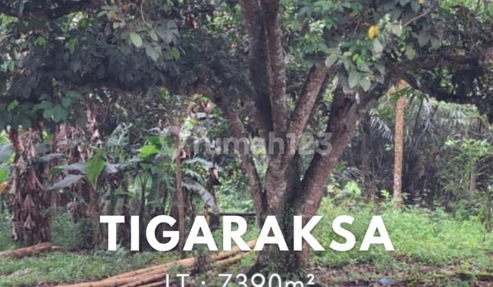 Dijual Tanah Luas Murah Lokasi Bagus di Tangerang