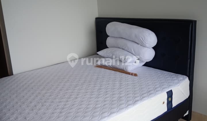 Ready Survei Studio Gold Coast Pik