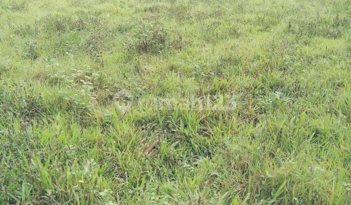 For Sale Fast Prime Land Near Citra Raya Cikupa