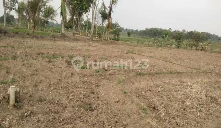 Cheap Land for Sale in Cikareo, Tangerang