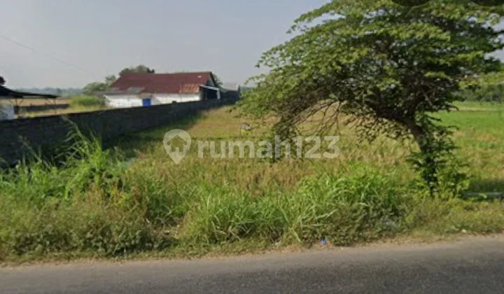 Land Benjeng, Gresik Strategic Zero Main Road