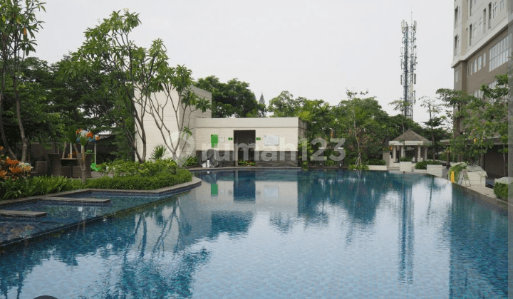 Disewakan Apt Madison Park Tipe 1 Kamar Furnish Unit Ready Kalau Ambil 2 Thn Bs Diskon Bisa Survey Dulu