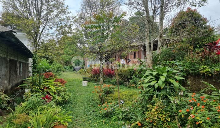 Villa/ Rumah Di Daerah Kopeng Taman Bagus Dan Luas