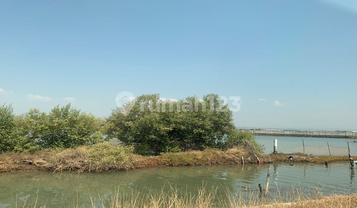 Cheap Large 2 Hectare Land on Kendal Harbor Road Cheap Large 2 Hectare Land on Kendal Harbor Road