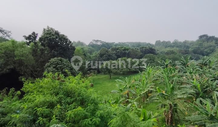 Tanah Murah Di Bogor