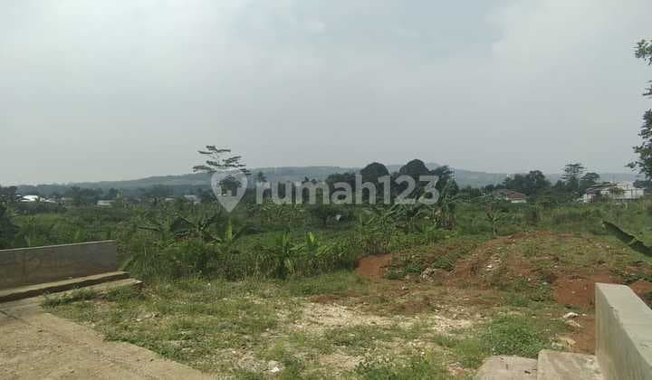 Dijual Tanah di Babakan Madang Sentul