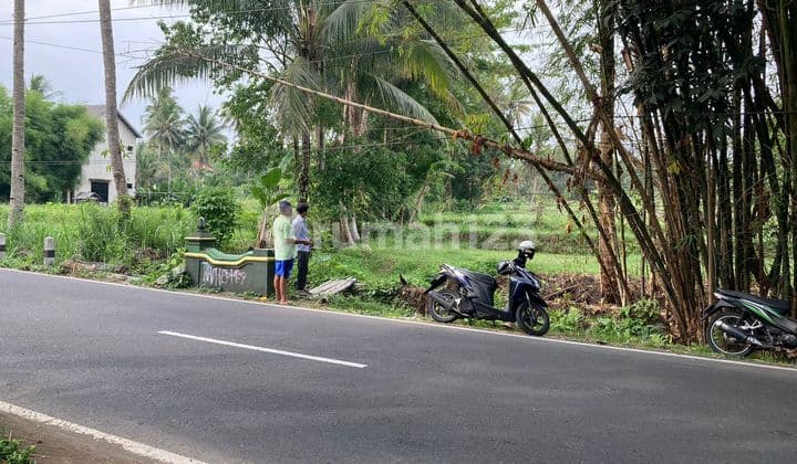 Cheap Land Jl. Balong - Degolan. West of UII, 450 m Kopi Rolas