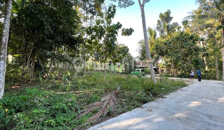900 Meter Jl. Nasional III, Tanah Depan Bandara YIA, Cocok Investasi atau Hunian