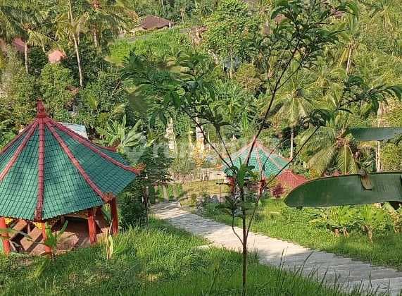 Tanah Luas + Kebun Bagus Untuk Invest di Negara Area Tabanan Bali