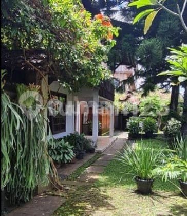 Rumah Homy Gaya Bali Cocok Untuk Kosan Di Cisitu Dago Bandung