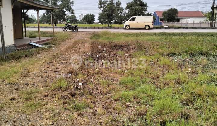Tanah Strategis Bangun Usaha di Pantura Subang