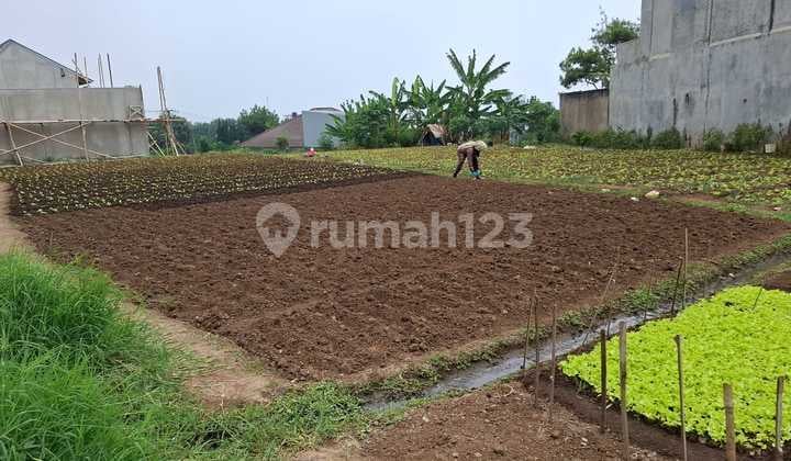 Kavling Siap Bangun Rumah Villa di Setiabudi Regency Bandung