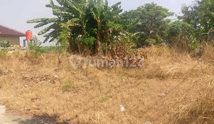 Dijual Tanah/kavling Dirorotan Kec .cilincing, Jakarta Utara