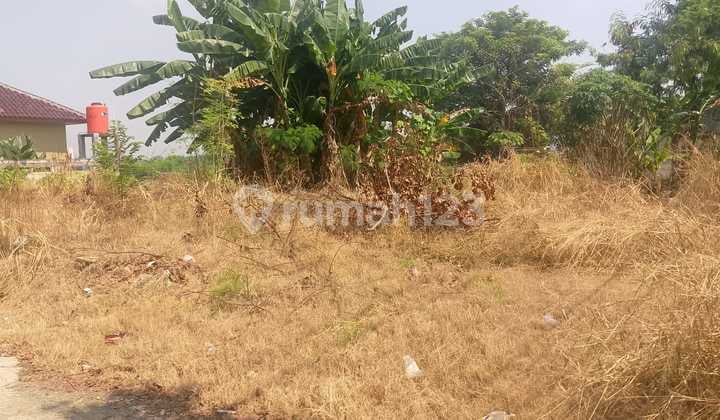 Dijual Tanah/kavling Dirorotan Kec .cilincing, Jakarta Utara