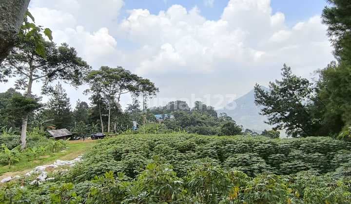 Dijual Tanah dengan View Bagus Menghadap Lembah dan Gunung di Bojong Koneng Sentul Bogor