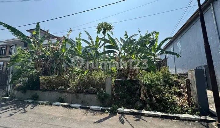 Tanah Matang Jarang Ada di Lokasi Strategis Turangga
