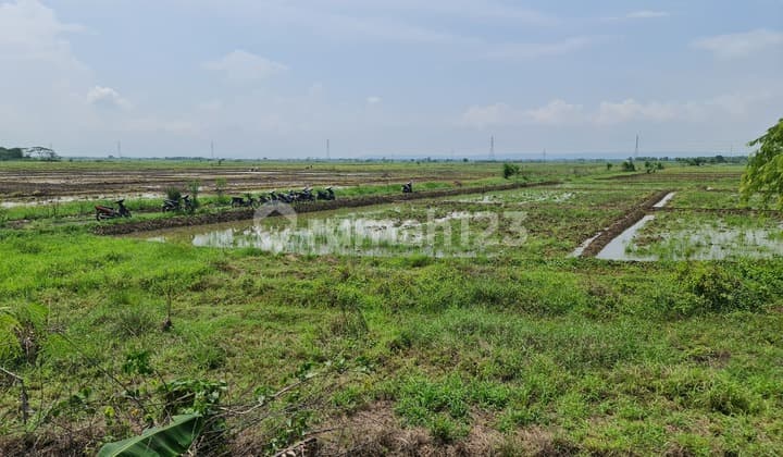 Dijual Tanah Kosong 20.345 m² di Jl. Raya Pantura, Cirebon