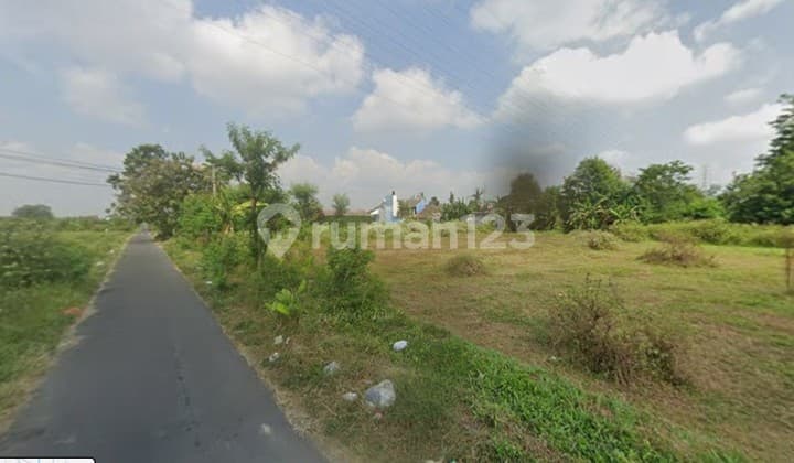 Tanah Murah Dekat Ringroad Barat Cocok untuk Perumahan Trihanggo