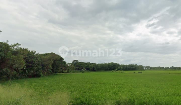 (JKT1249) Dijual Tanah cocok untuk industri Ranca Iyuh - Legok