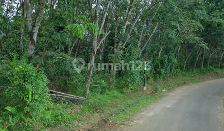 (TN055) Di jual Tanah sudah ada villa 1 unit di Jasinga, Bogor