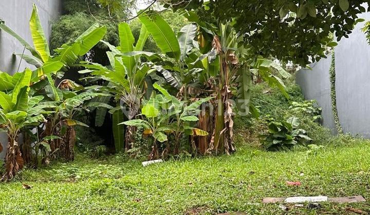 FOR SALE VIRGINIA LAGOON BSD PLOT 300M2 FACING NORTHEAST