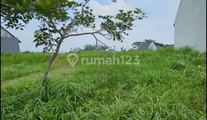 Tanah Kavling Dijual Murah The Taman Dayu-Prigen