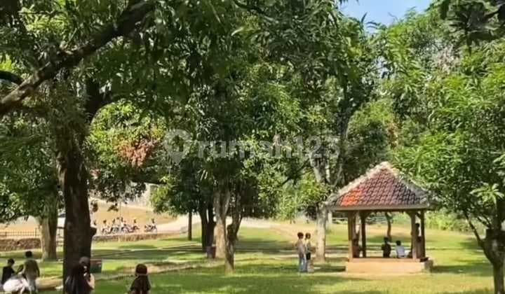 Caffe & Kebun Mangga, Saung Teduh, Panyingkiran-majalengka