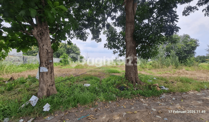 Tanah desa Sidojangkung, Menganti Gresik