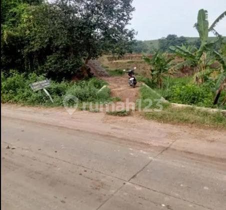 Dijual Murah Tanah Siap Pakai, Kec. Gondang-Mojokerto