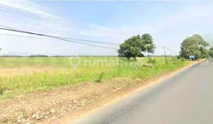 Tanah Ngantong, Siap Pakai & Strategis Dekat Tol & bandara udara kertajati, Kec Ligung, Majalengka-Jawa Barat