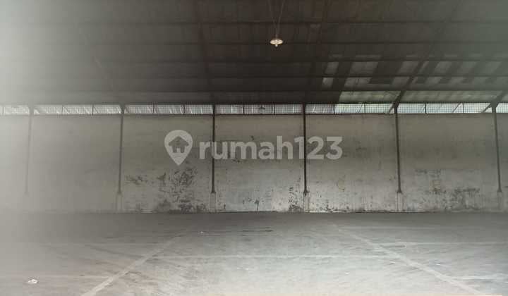 Gudang Kayu Putih Siap Pakai