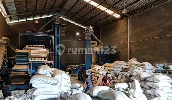 Bright Star Good Warehouse