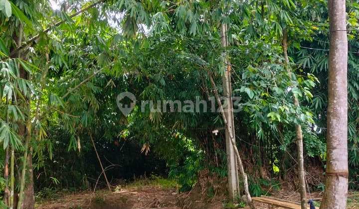 Dijual Cepat Tanah Tenjo, Dikelilingi Perumahan, The Next Serpong