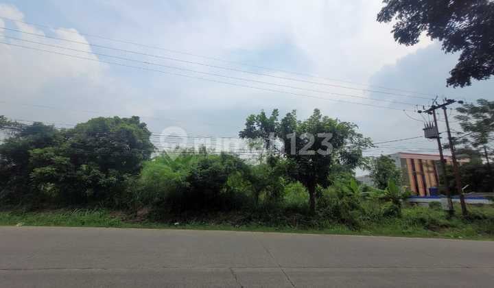 Dijual Tanah Lebar 55 di Jalan Raya Gunung Sindur