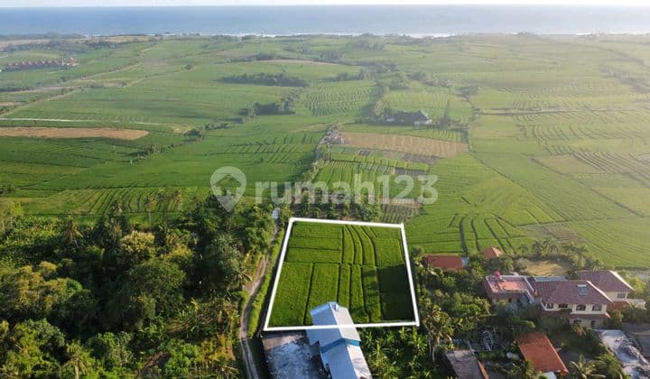 Dijual Tanah Murah Dipantai Pasut Tabanan
