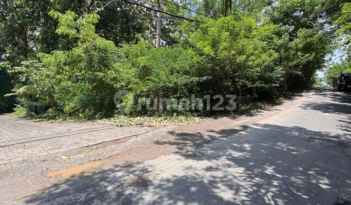Pecatu Gold Investment - 20 Are, Near Single Fin & Suluban Beach