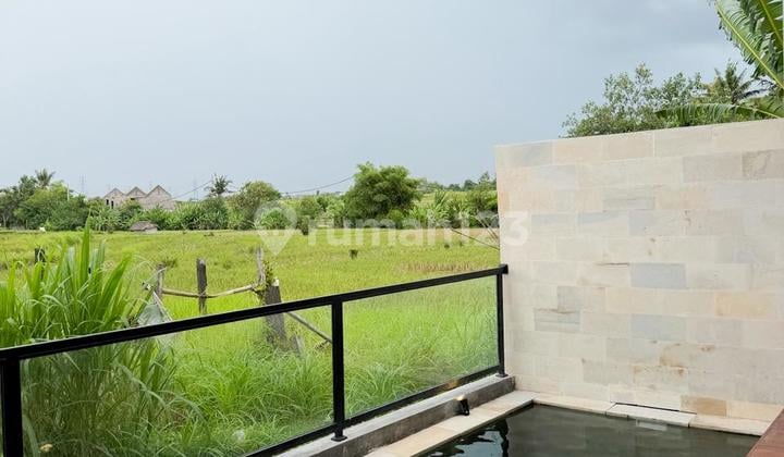 Villa Rice Field View in Cepaka Munggu Near Canggu