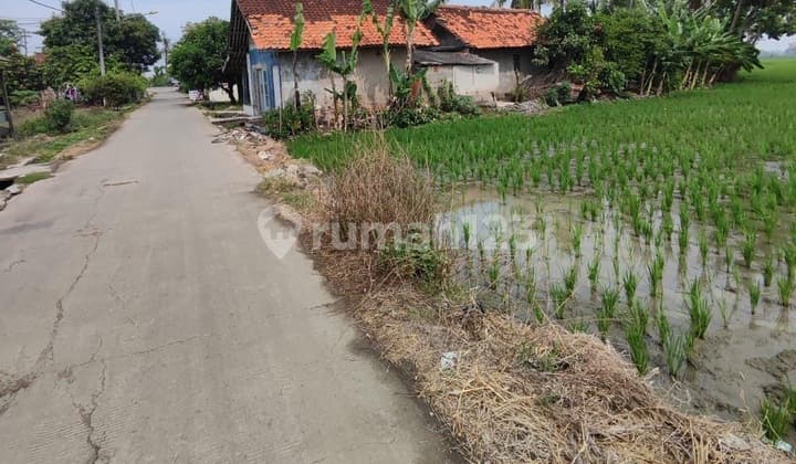 Tanah SHM 14687 m2 Bekasi, Bekasi Jalan beton