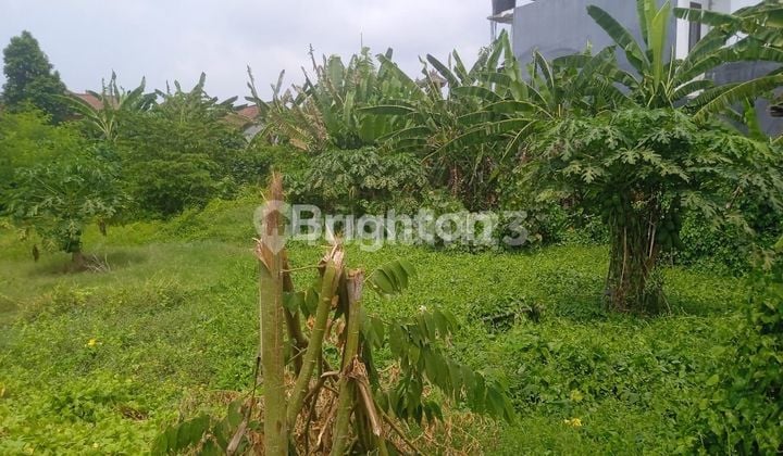 LAND IN TUKAD BATANGHARI IS COMFORTABLE AND STRATEGIC