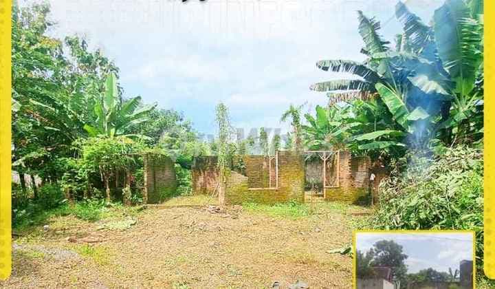 Tanah Siap Bangun di Triyagan, Mojolaban! Pilihan Tepat untuk Investasi & Hunian Impian